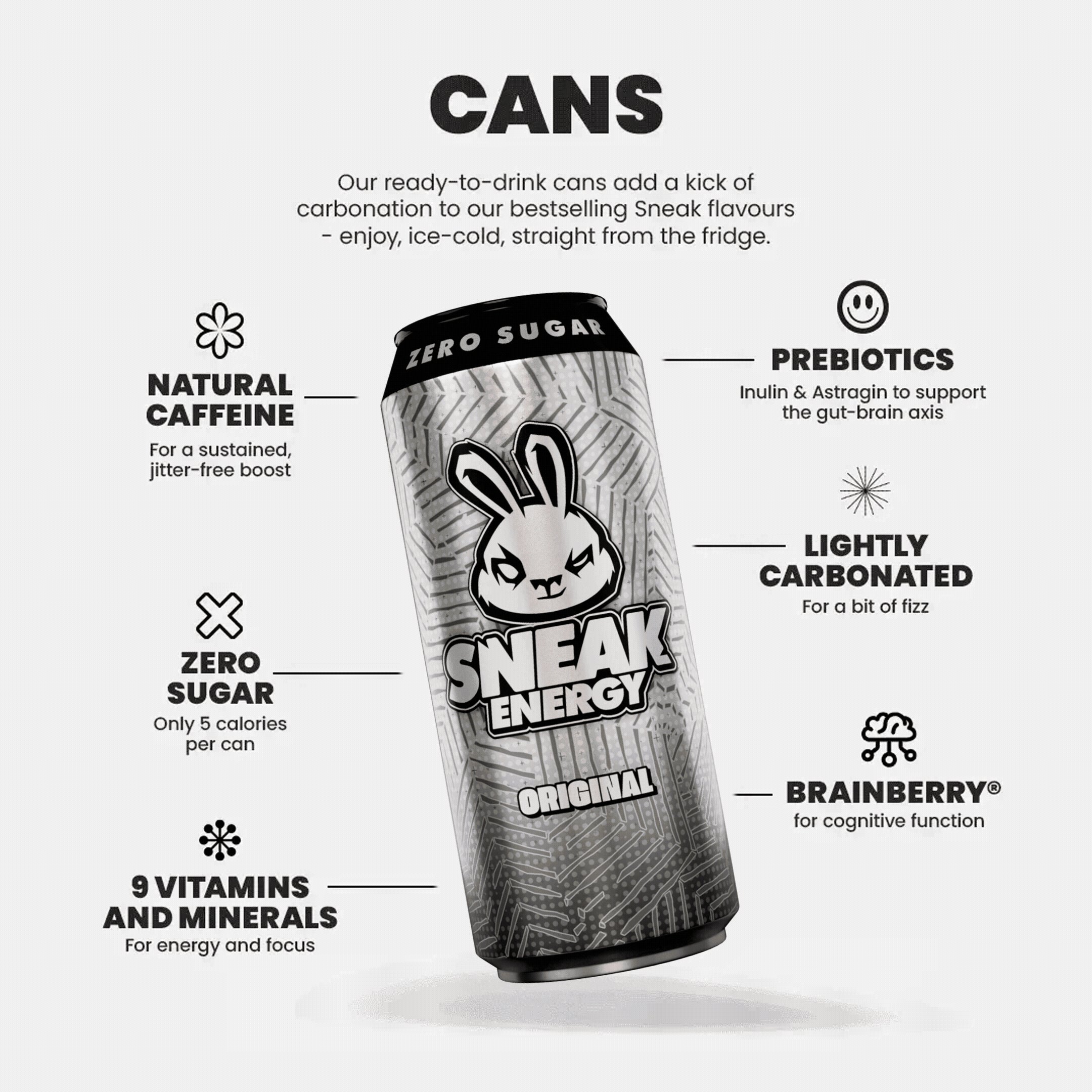 ORIGINAL - 12 PACK - Image 4